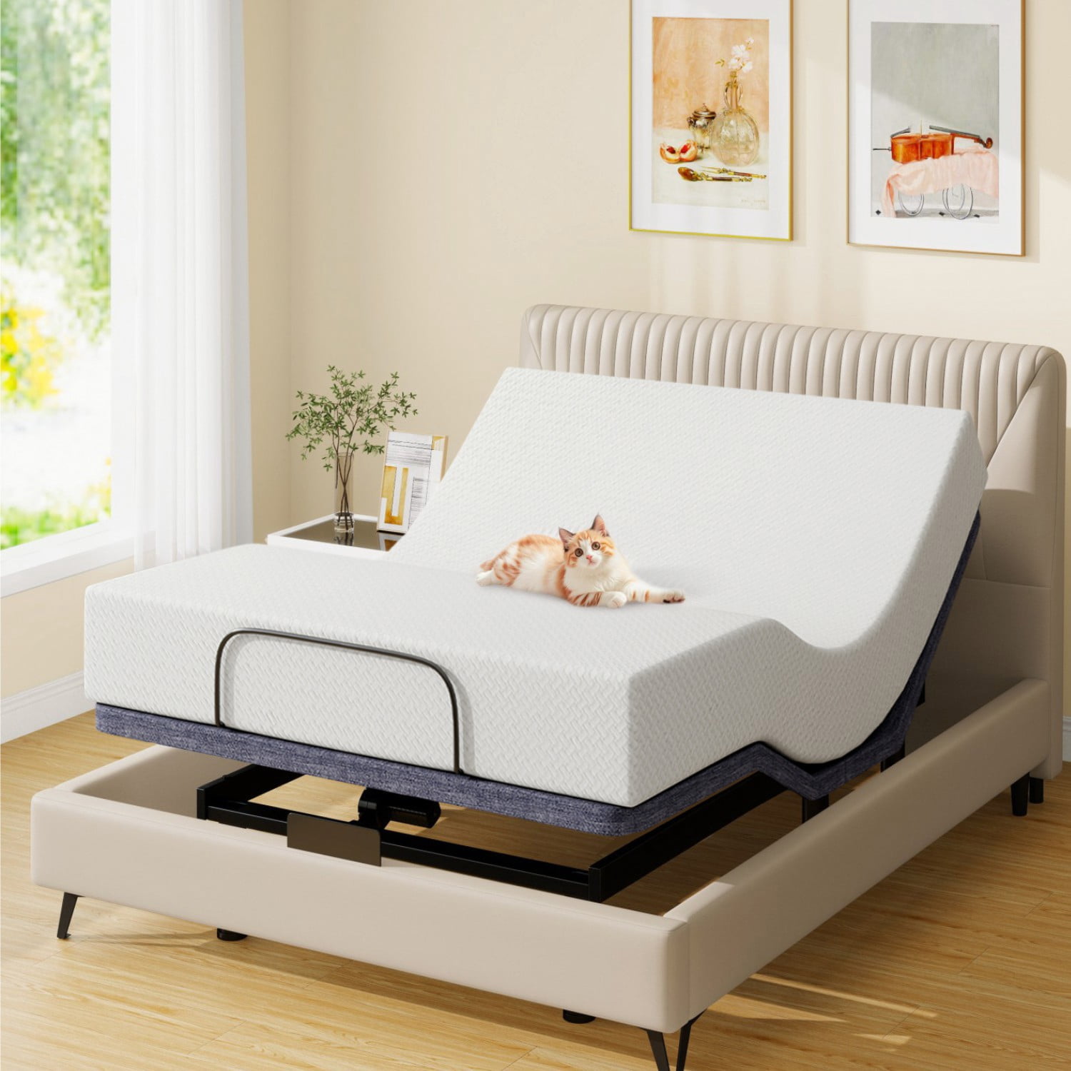Adjustable Bed Base Queen Massage with 10" Mattress Dual Head & Foot Headrest Electric Bed Frame with Wireless Remote, 0 Gravity, Anti-Snore, Under Bed LED, USB Ports, 12" Adjustable Legs